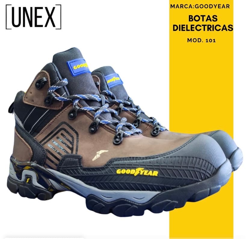 Goodyear 101